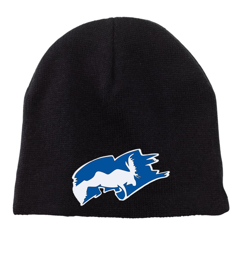 PJMS - Solid Stripe Beanie (CLOSEOUT)